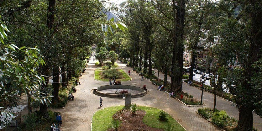 Caminho do parque ladeado por árvores, uma fonte central e pessoas desfrutando do ar livre.