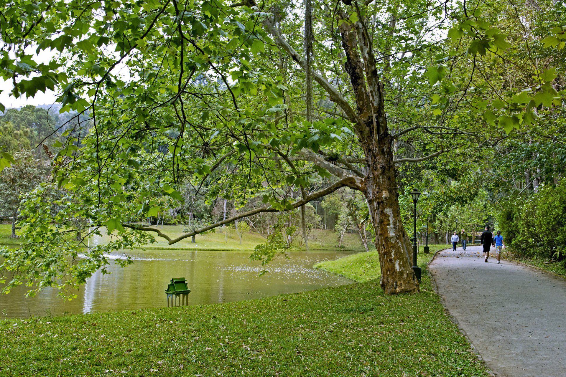 Cena de parque verdejante com lago, árvores e trilha para caminhada; duas pessoas caminhando ao longe.