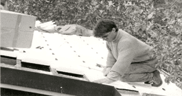 coperture edili coperture edili