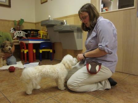 dog and trainer