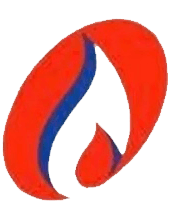 Solent Gas Heating and Plumbing Company Logo