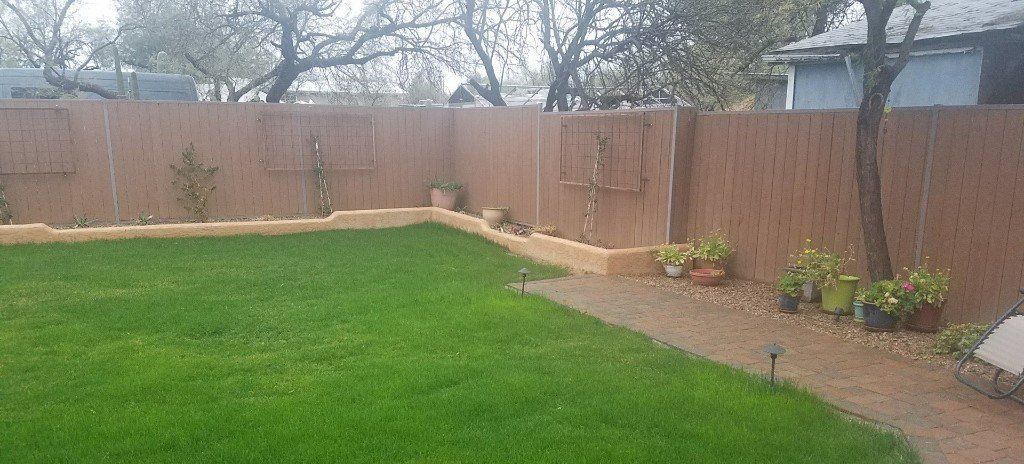 Green lawn, brown fence, and potted plants in a backyard. A pathway of stones and a tree.