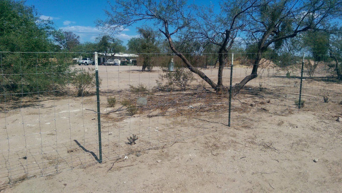 Desert landscape with a wire fence, trees, and a building in the distance.