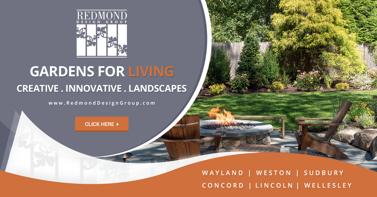 juuced-marketing-redmond-design-group-advert