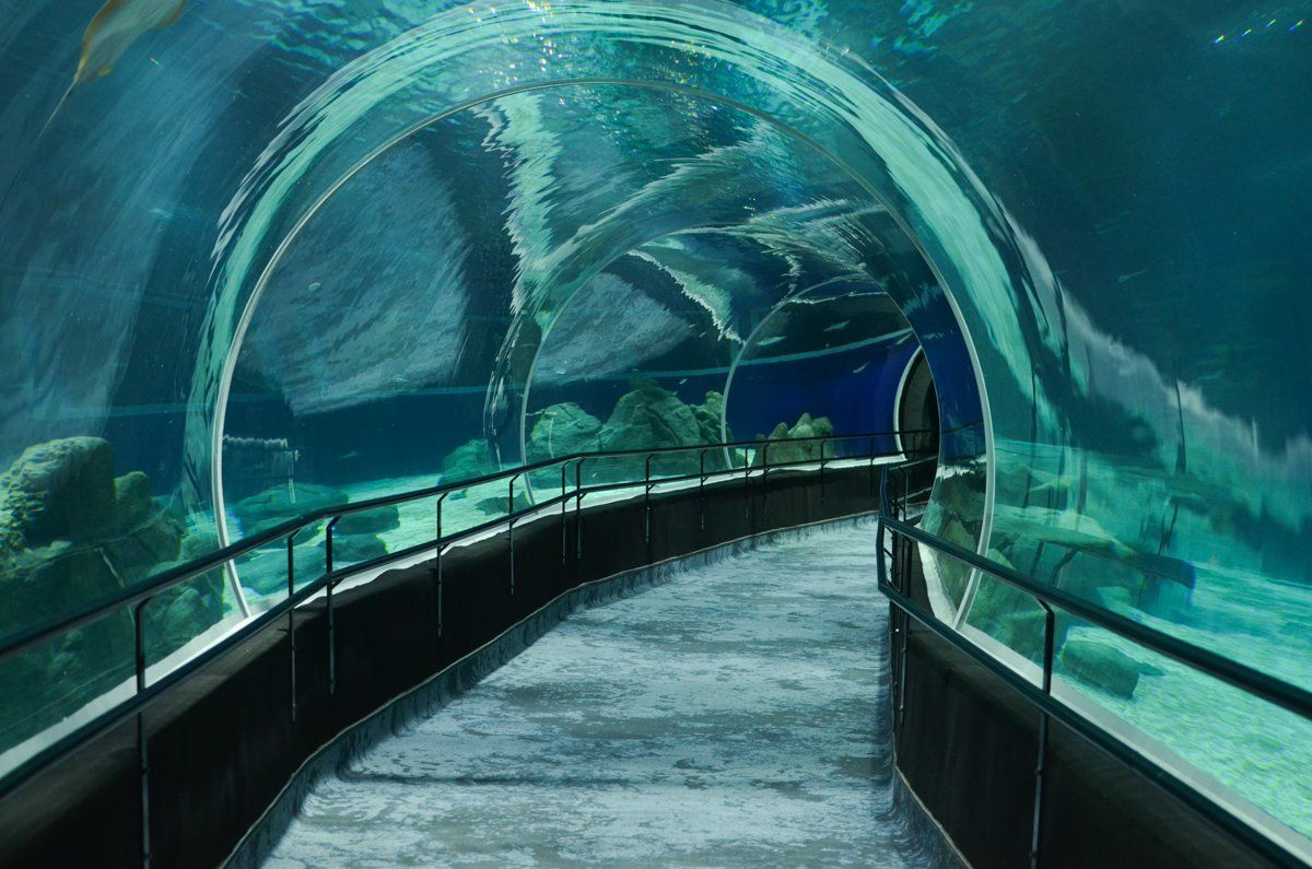 Uma pessoa está caminhando por um túnel em um aquário.