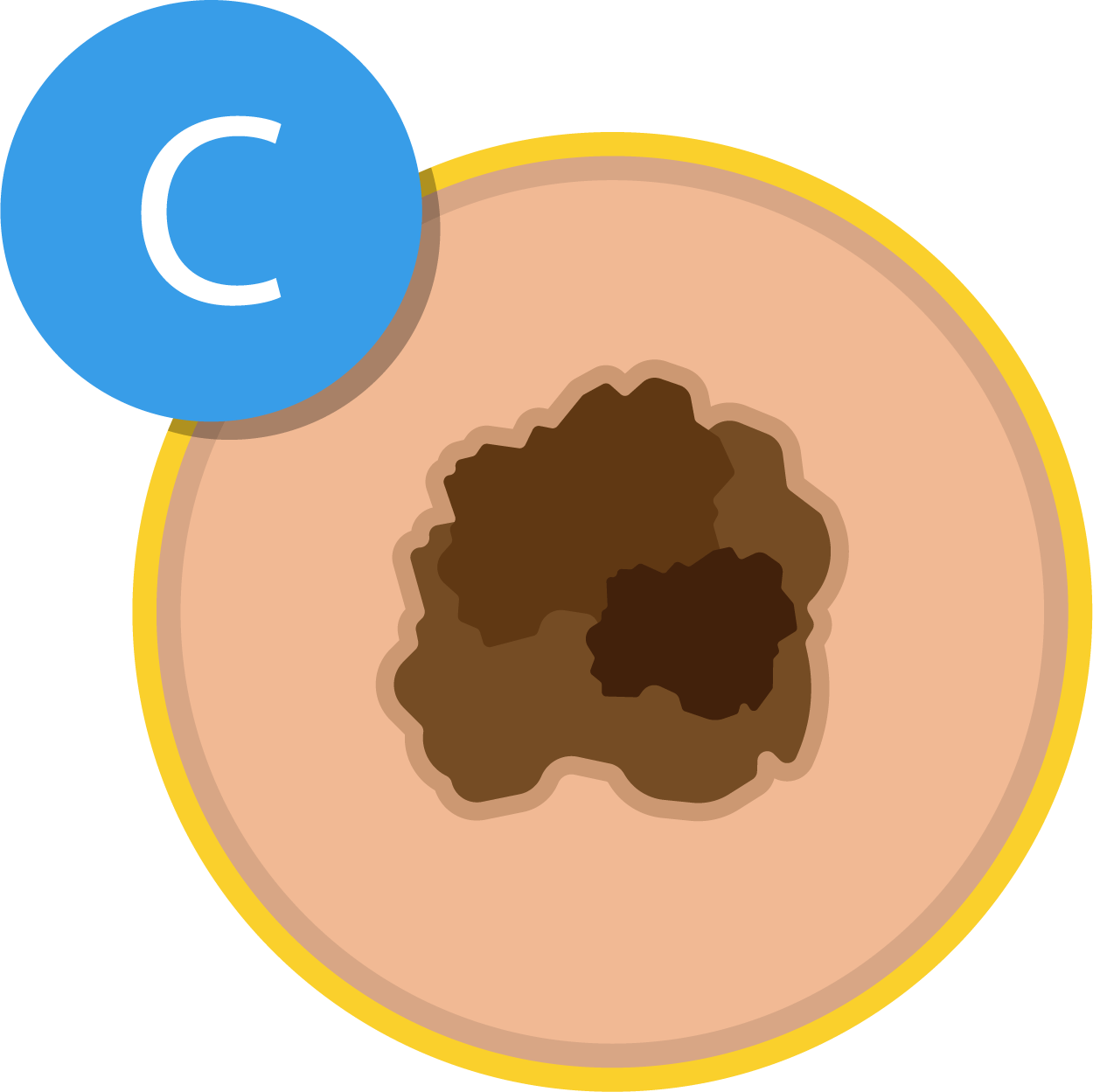 Skin Cancer Graphic