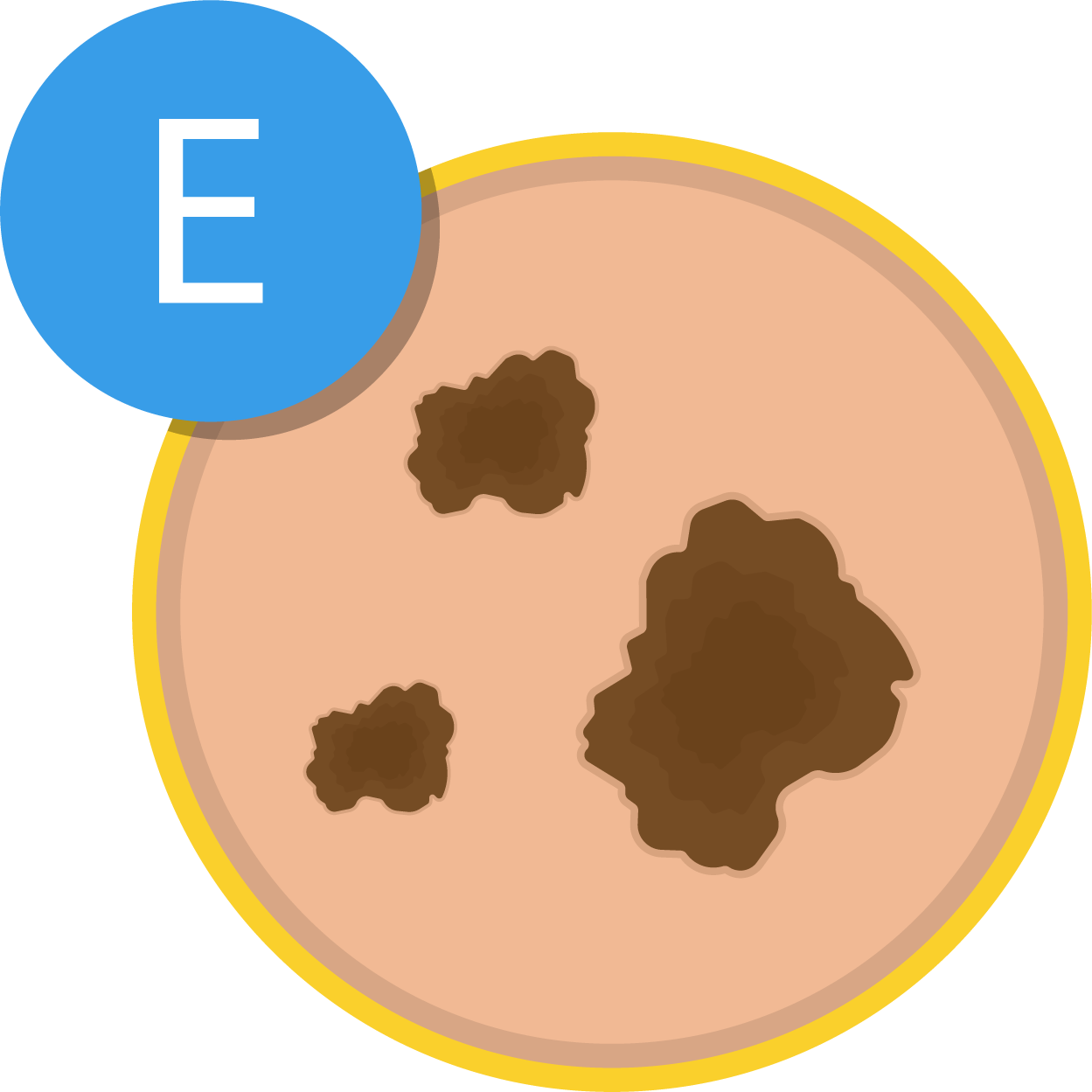Skin Cancer Graphic