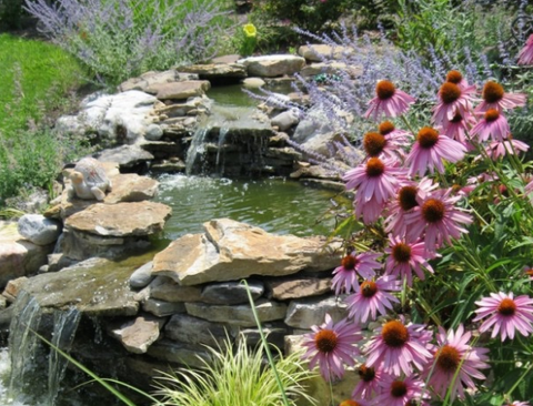 Waterfall in Garden - Story writer in Bradley, ME