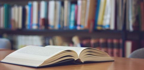 Open Book — Bradley, ME — Vernita Leins, Author Open Book — Bradley, ME — Vernita Leins, Author