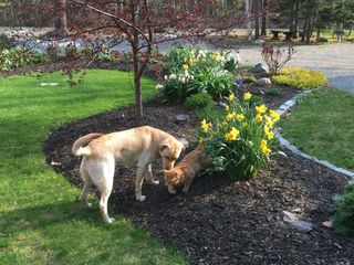 Josie at grocery store - Story writer in Bradley, ME