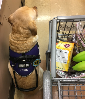 Josie at grocery store - Story writer in Bradley, ME Josie at grocery store - Story writer in Bradley, ME