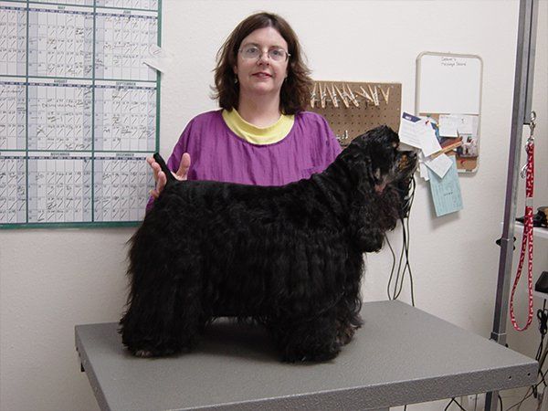 Dog Grooming, Pet Grooming in Long Beach, CA Dog Grooming, Pet Grooming in Long Beach, CA
