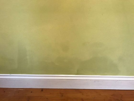 damp removal