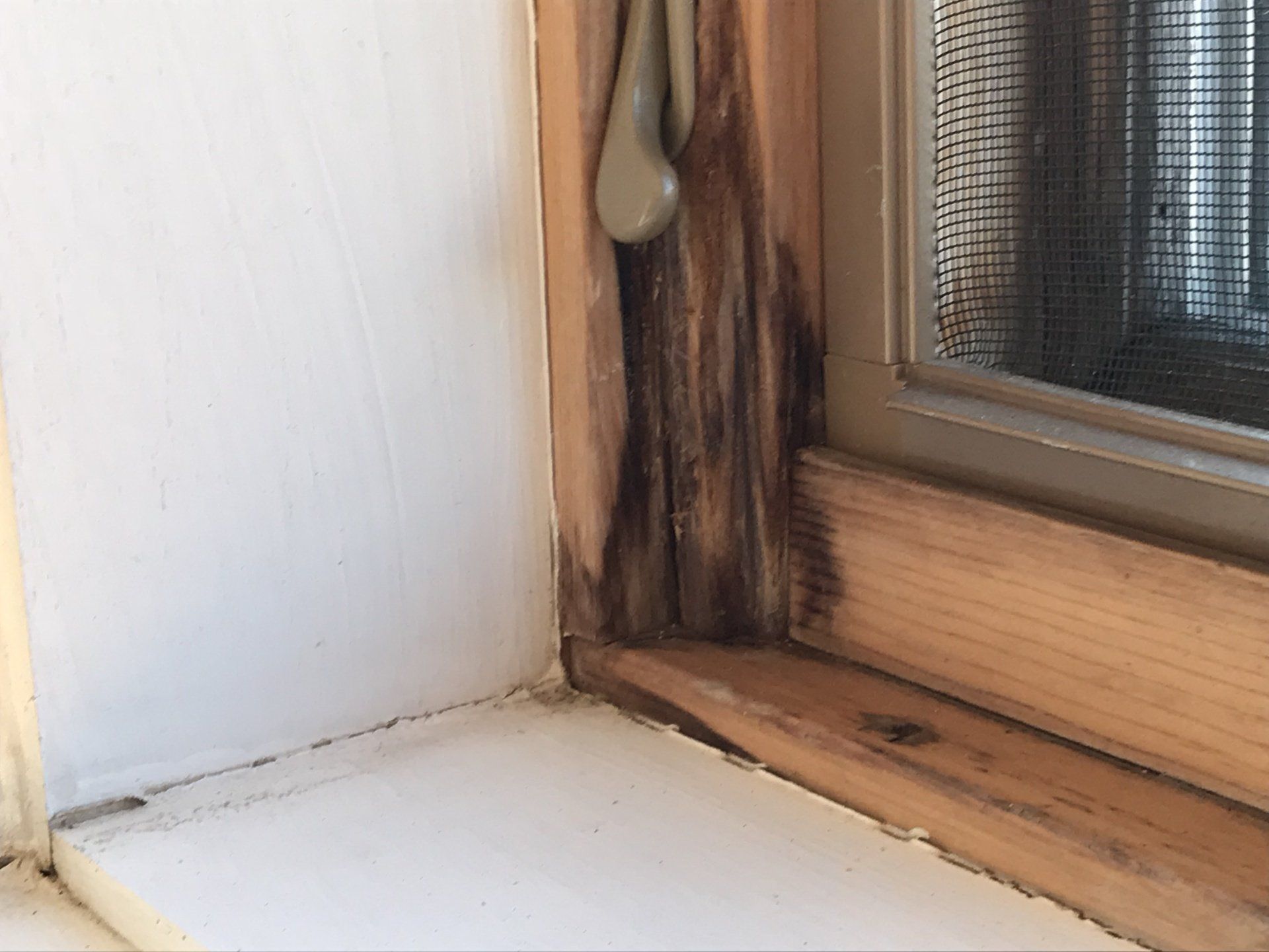 Rotting window frame in WickRight General Contracting customer's wet split face block building.