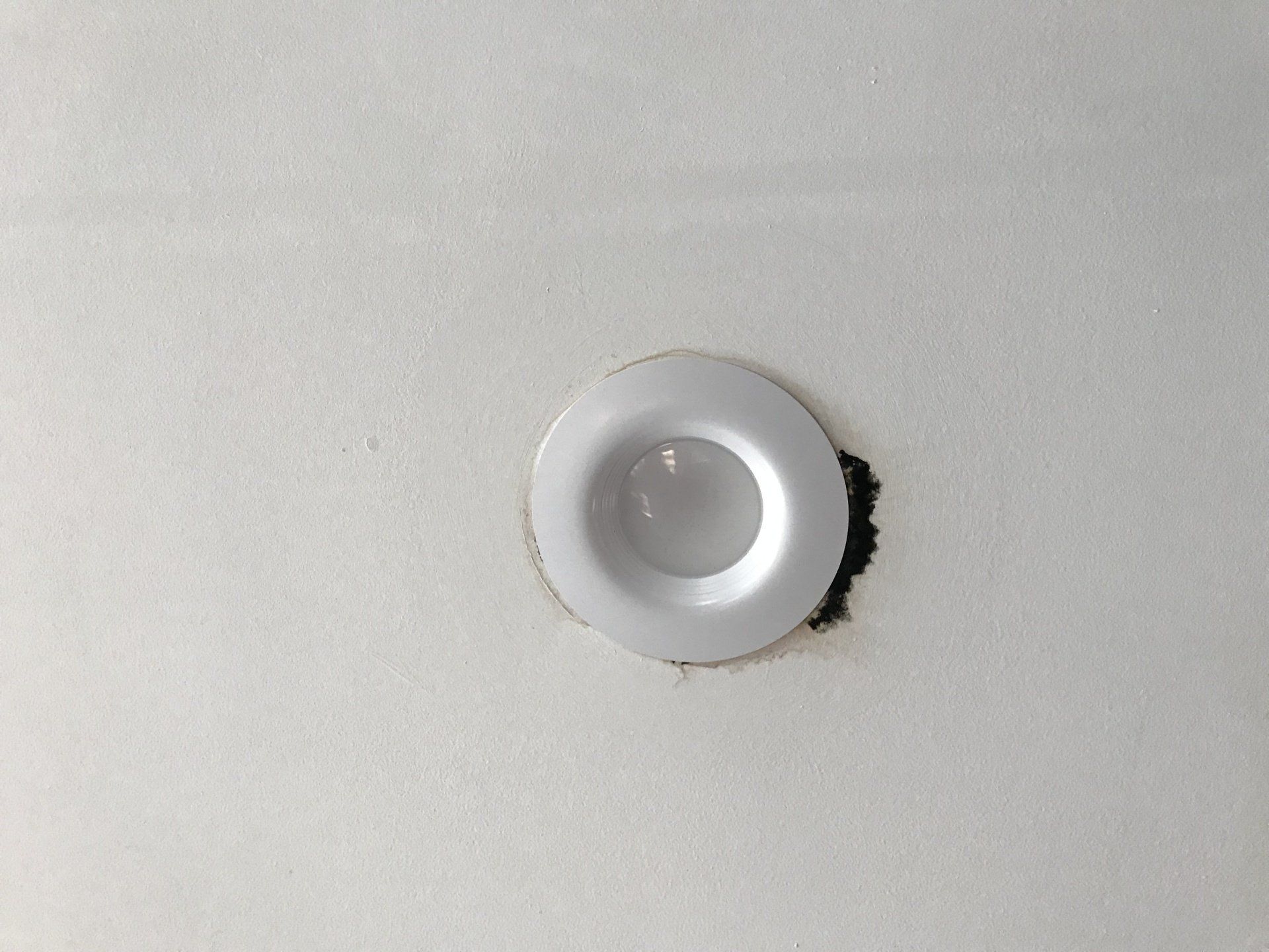 Mold behind can light in WickRight General Contracting customer's living room ceiling beneath rotting flat roof trusses.