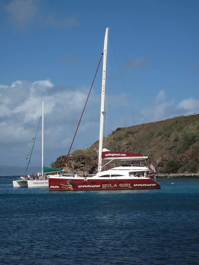 Hawaiian Cruisers