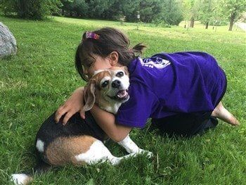 beagle-being-hugged-by-little