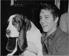Elvis and his Basset Hound