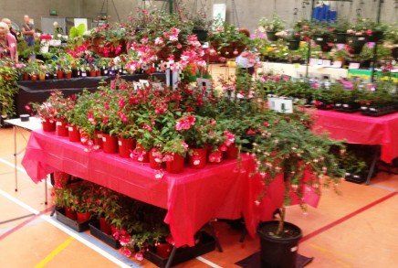 Festival of Flowers 2016