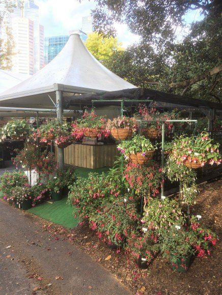 MIFGS 2018