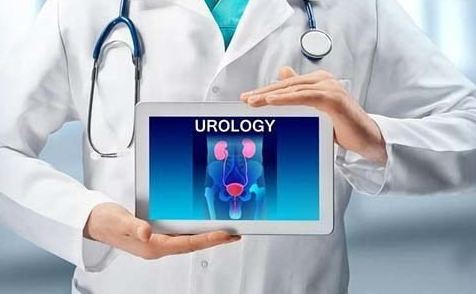 Urologia