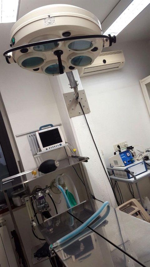 Strumenti per la diagnosi delle patologie