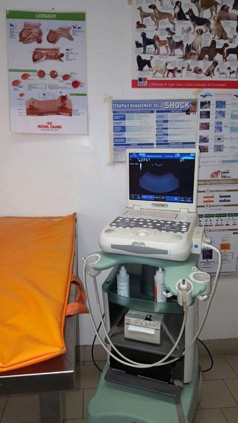 Strumenti per la diagnosi delle problematiche veterinarie