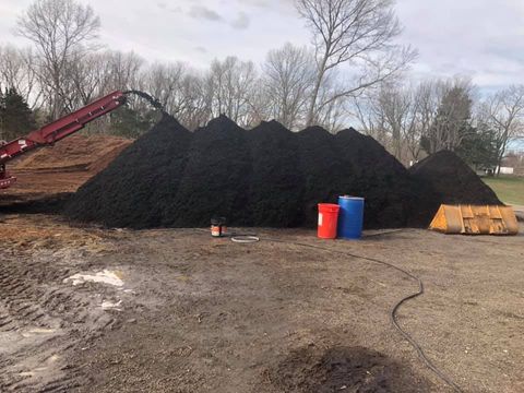 Tree Removal Cleaning — Franklinville & Glassboro, NJ — CAS Tree Service Tree Removal Cleaning — Franklinville & Glassboro, NJ — CAS Tree Service