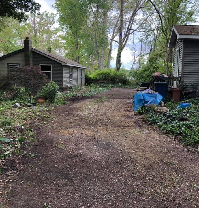 Tree Maintenance — Bridgeton & Millville, NJ — CAS Tree Service Tree Maintenance — Bridgeton & Millville, NJ — CAS Tree Service