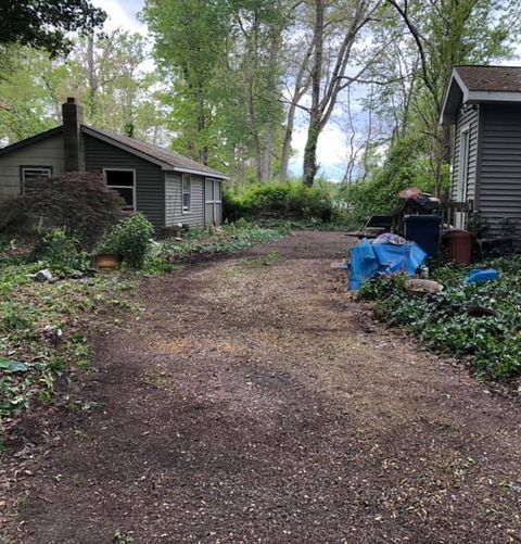 Tree Maintenance — Bridgeton & Millville, NJ — CAS Tree Service Tree Maintenance — Bridgeton & Millville, NJ — CAS Tree Service