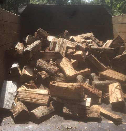 Wood Stump — Williamstown & Turnersville, NJ — CAS Tree Service Wood Stump — Williamstown & Turnersville, NJ — CAS Tree Service