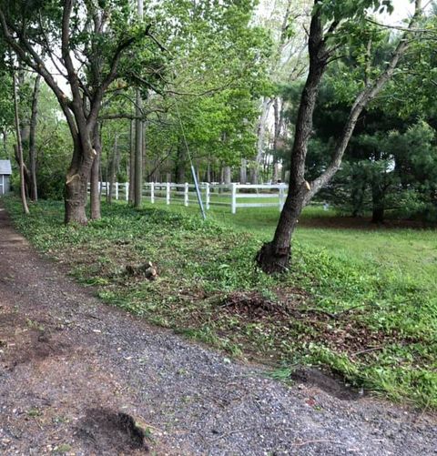Quality Tree Maintenance — Williamstown & Turnersville, NJ — CAS Tree Service Quality Tree Maintenance — Williamstown & Turnersville, NJ — CAS Tree Service