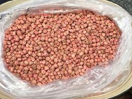 bag of seeds