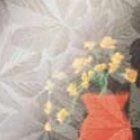 Flower glass