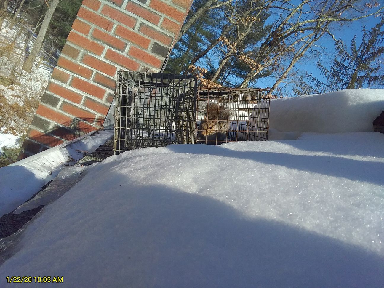 Solar Panel Barriers — Solar Panel on the Roof in St Worcester, MA