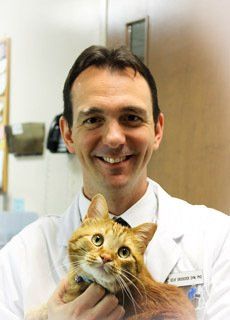 Geoffrey Groocock, DVM, PHD - Transit Animal Hospital Clarence, NY