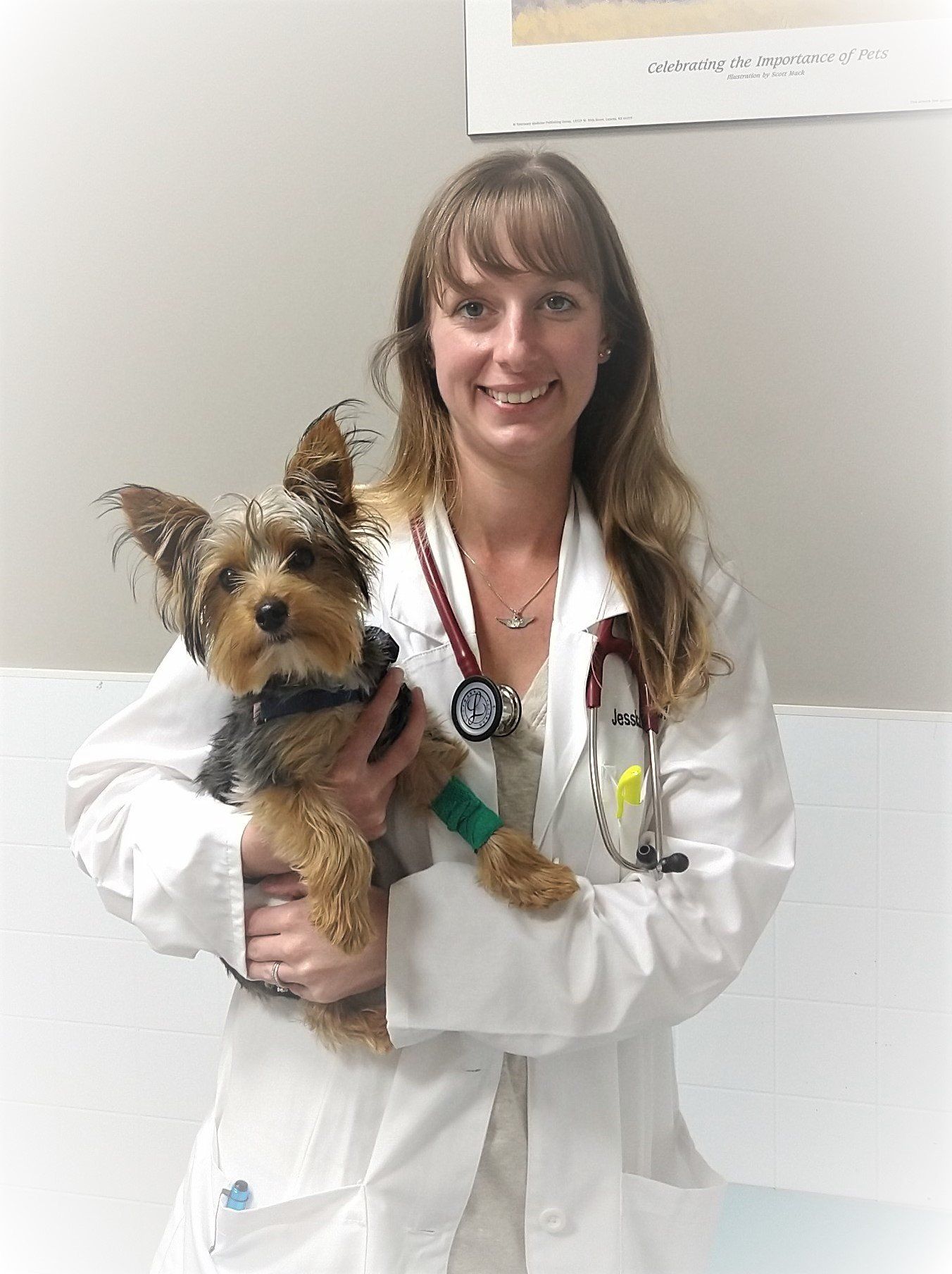 Evan Reed, DVM - Transit Animal Hospital West Seneca, NY Checktowaga, NY