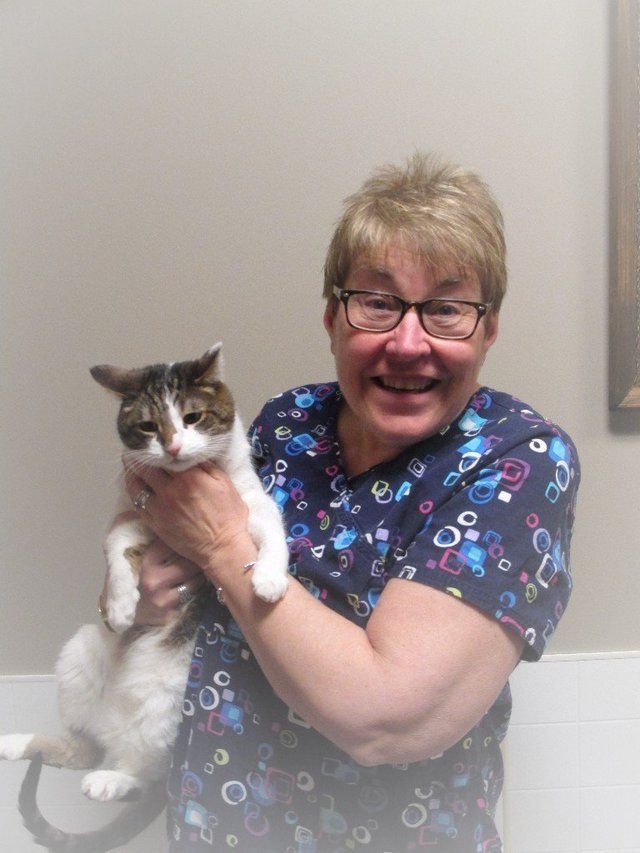 Sheral, Kennel Staff - Transit Animal Hospital Orchard Park, NY