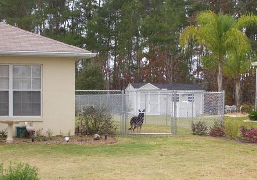 Galvanized 5 foot residential chain link