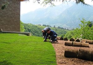 due uomini chinati mentre lavorano su un prato