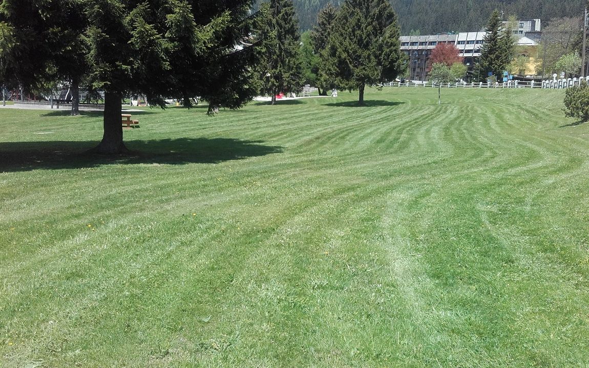 veduta di un prato