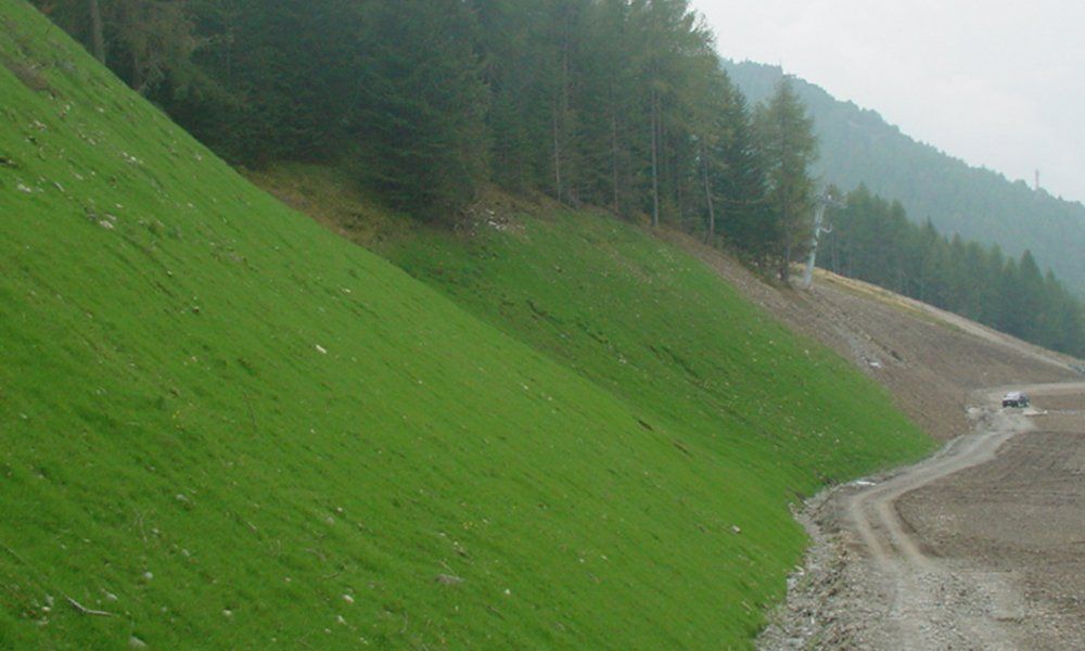 un prato in una zona di montagna