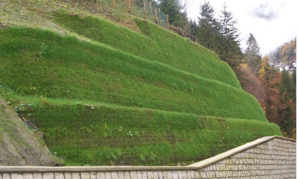 un muretto e del prato in montagna