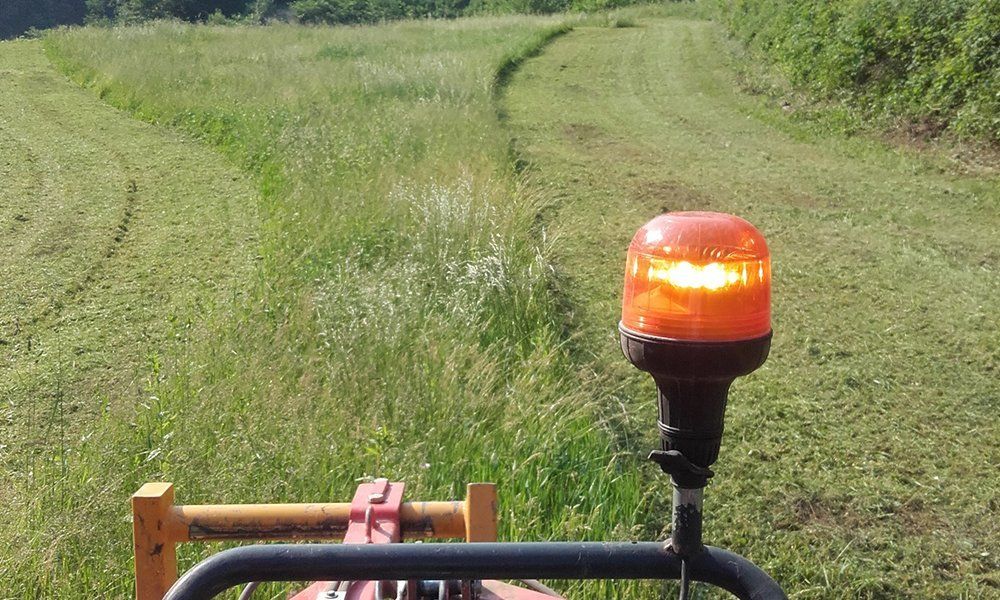 vista dal trattore di una luce e del prato tagliato