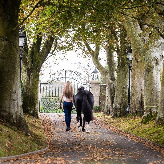 Woman walking with a black and white pony towards a gated entrance, under a tree-lined avenue with fall leaves.