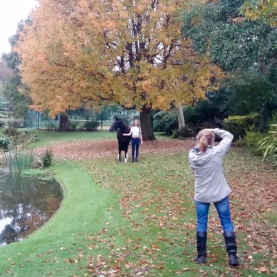 Person taking photo of two people and a black horse in autumn park setting.