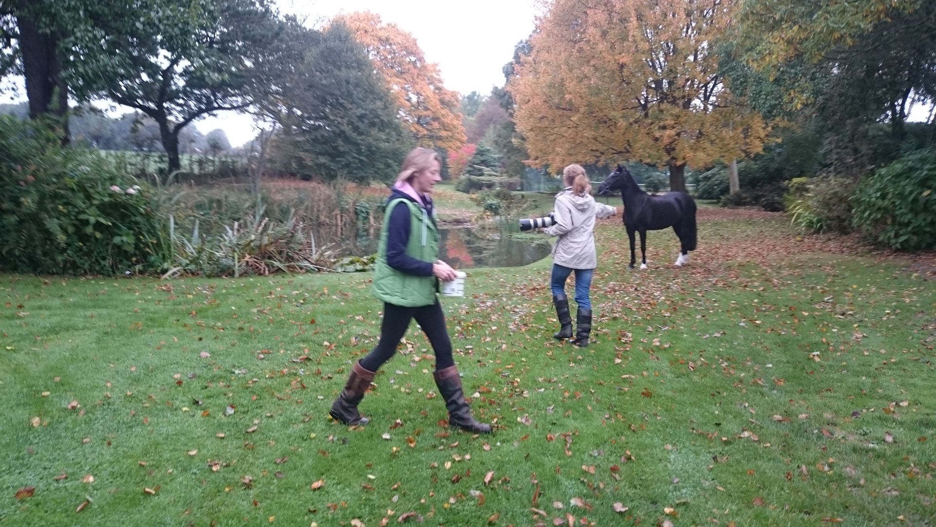Two people with a black horse on a grassy bank near a pond, autumn trees in background.
