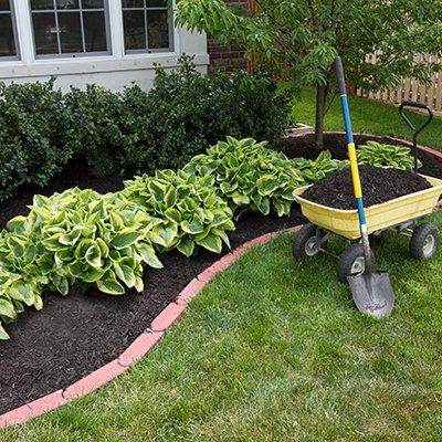 Clean Lawn — Lawn Service in Albertville, AL