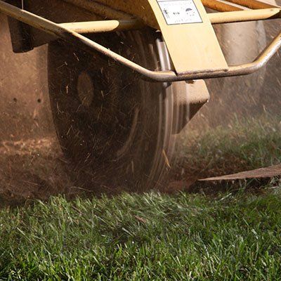 Emergency Storm Response — Stump Grinder in Albertville, AL Emergency Storm Response — Stump Grinder in Albertville, AL