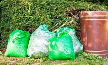 Garden clearance